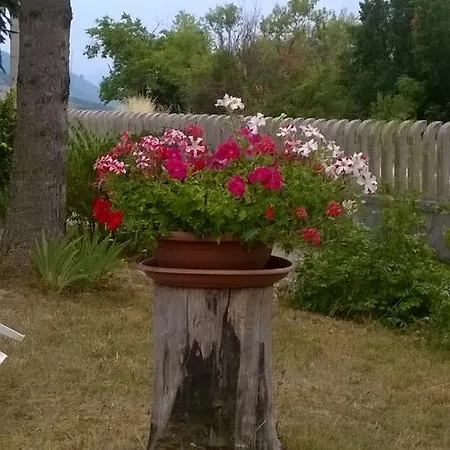 Bed & Breakfast Taddei 3*