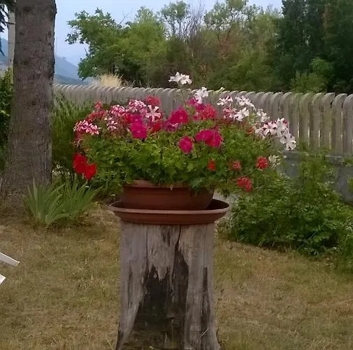 Bed and breakfast Taddei 3*